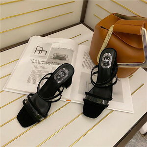 ؚT_[q[ T_ q[9.5cm fB[X Ƃ  xg C  l r ubN zCg ɂȂ ₷ r ɂ V[Y  ubN zC