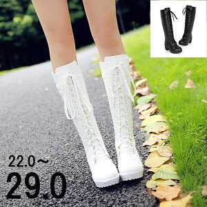 u[c  q[6cm u[c ҂ݏグu[c zCg ubN EhgD  t@bV q[   Ou[c 傫TCY r X[X RXv fB[