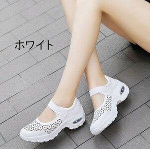 X|[cT_ Xj[J[  fB[X xN RtH[g ₷ y r X|T T_ ʋC C JWA   zCg ʋ ɂ 22.5 23.0 23