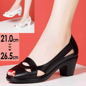 T_ fB[X ₷ ꂢ    RtH[g q[6cm Sn悢 ɂ nCq[ zCg ubN 21.0~26.5 傫TCYO[[p[N