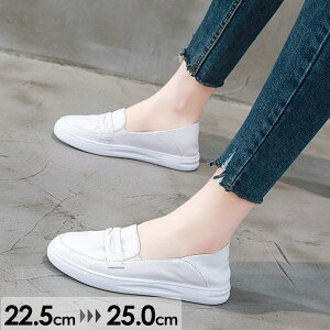 Xj[J[ EN Xj[J[ fB[X 2way V[gu[c \bNXu[c T_ V[Y t  tbg 傫TCY ₷ ɂ ₷ Cxg f[