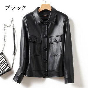 fB[X WPbg tFCNU[ |Pbgt AE^[ H~ t  V[g sN O[ uE ubN ʋ ʊw JWA l i M`5LO[[p[N