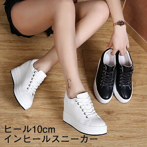 y21.5/22.0/22.5/23.0/23.5/24.0/24.5/25.0zCq[Xj[J[ q[10cm Xb| S\[ PU ҂ݏグ  C TCY 傫TCY [t@[ fB[X zCg ubN