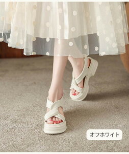 T_ fB[X    Ƃ S X|[cT_ ʋCQ q[6Z` g킸 傫TCY T}[ JWA  o| RtH[g V[Y 