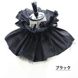 t tJ[ [bp M   Ђ btJ[ sGJ[ t  jp Y fB[X jp p RX`[ RXv   