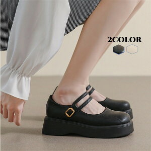 [WF[  C l q fB[X V[Y _uxg Xgbv łC ߋ qw vbgtH[ ʋ ʊw  킢 IV JWA Vv  