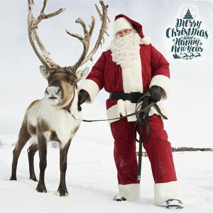 T^N[Xߑ {iT^ߑ YT^N[X 7_Zbgj T^ RXv l Xmas  Y T^RX NX}X Zbg 傫TCYO[[p[N