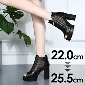  T_ T_ q[10cm u[cT_ u[T ubN  nCq[ q[ `L[q[ Lo I[vgD ʋC Ƃ 傫TCY TCY b