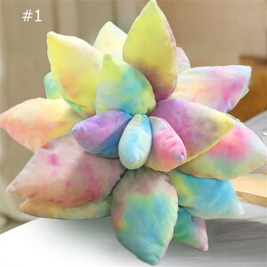 ʂ Succulent pillow  ܂ ObY v[g Mtg Q 킢 CeA q   PP a G肢 􂦂 ޏ _炩 蕨