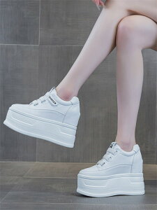 Xj[J[ fB[X Xj[J[ 12cmq[Abv r ؍ tH JWA V[Y    r X|[eB[  ₷ ʋ ʊw f[g CO