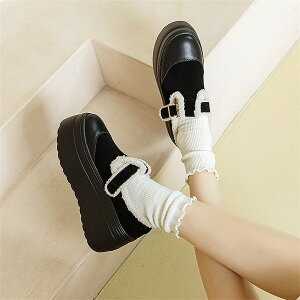 V[Y fB[X H~ {At g RR V[Y t@[ [t@[ 킢  JWA  ?V[Y ۉ h ₷ ʊw ʋ f[g ubN u