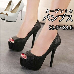 pvX fB[X nCq[ I[vgD Ƃ }bg q[14cm sq[ t  p[eBV[Y EGfBOV[Y r r ubN zCg