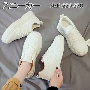 Xj[J[ fB[X V[Y Cq[  EH[LOV[Y Cq[   킢 lC C  Xj[J[ zCg r y IV