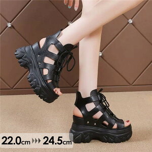 u[cT_  fB[X 9cm UP OfBG[^[T_ T}[u[c U[V[Y EGbW\[ PUv ʋ ItBX ₷ w N[rY rr g