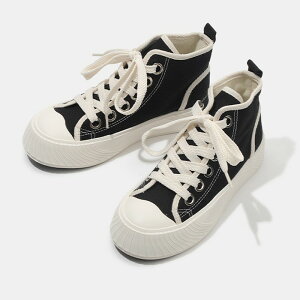 Xj[J[ fB[X V[Y JWA EH[LOV[Y x[WuE  킢 傫TCY ₷ s ʋ ʊw lC C  Vv n r g