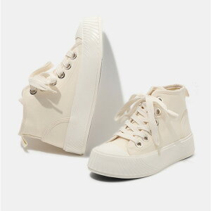 Xj[J[ fB[X V[Y JWA EH[LOV[Y x[WuE  킢 傫TCY ₷ s ʋ ʊw lC C  Vv n r g