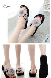 T_ fB[X gOT_ r[`T_  T_ RT[Wt EFbW\[ ƂȂ 傫TCY TCY i JWA 킢  C v[