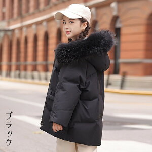 _ER[g q ̎q 90_E _EWPbg LbY h WPbg q  ̎q tFCNt@[ t[ht ʊw LbY h H~ WjA AE^[ ~ ʉ ؍q