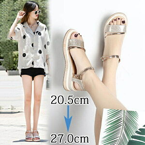 T_  fB[X 킢 IV r 傫TCY TCY W[p ][g ^EpT_ r Sn JWA C l y ₷ ėp iO