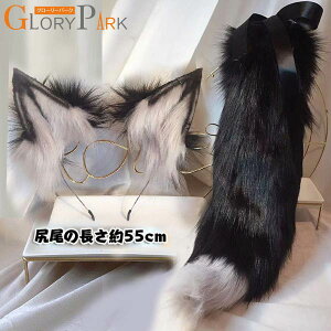 T  K RXv    w p[eB[ COSPLAY RX`[ ANZT[ cosplayp +蕨(jO[[p[N