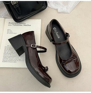 pvX ɂȂ CpvX r ₷ ubNuE傫TCY q[5cm@JWAʋ ʊw Ǝ  wO[[p[N