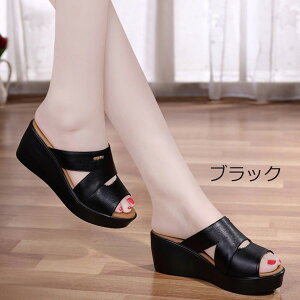 fB[X ~[ EFbW\[ T_  T_₷ ɂȂ ɂ傫TCY r y y T_ d    U o ubN