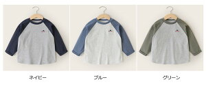 LbYTVcn[ghJ蒷 VcIV3J[q ȏt  H ʋ ʊw 퐶O[[p[N