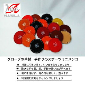 遊びながらトレーニング グローブの革製 手作りのスポーツミニメンコ 5個セット