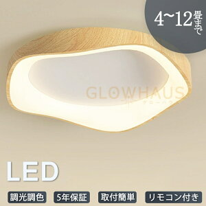 y5Nۏ؁zV[OCg led OFؑ F 4 6 8 10 12 ȃGl  邢 k rO CCg VƖ dC Ɩ Rt ԐڏƖ  q 