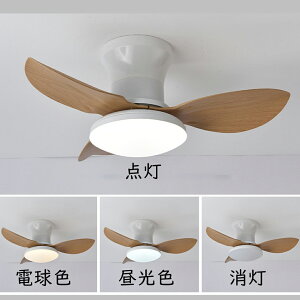 V[Ot@ LED U V[Ot@Cg 4 6 8 10 12 BluetoothΉ APPΉ DC[^[ V[OCg ^ Px Ɩ F @\ ^C}[ É ȃG