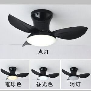 V[Ot@ LED U V[Ot@Cg 4 6 8 10 12 BluetoothΉ APPΉ DC[^[ V[OCg ^ Px Ɩ F @\ ^C}[ É ȃG