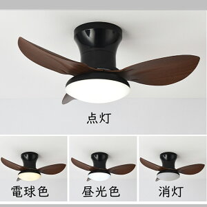 V[Ot@ LED U V[Ot@Cg 4 6 8 10 12 BluetoothΉ APPΉ DC[^[ V[OCg ^ Px Ɩ F @\ ^C}[ É ȃG