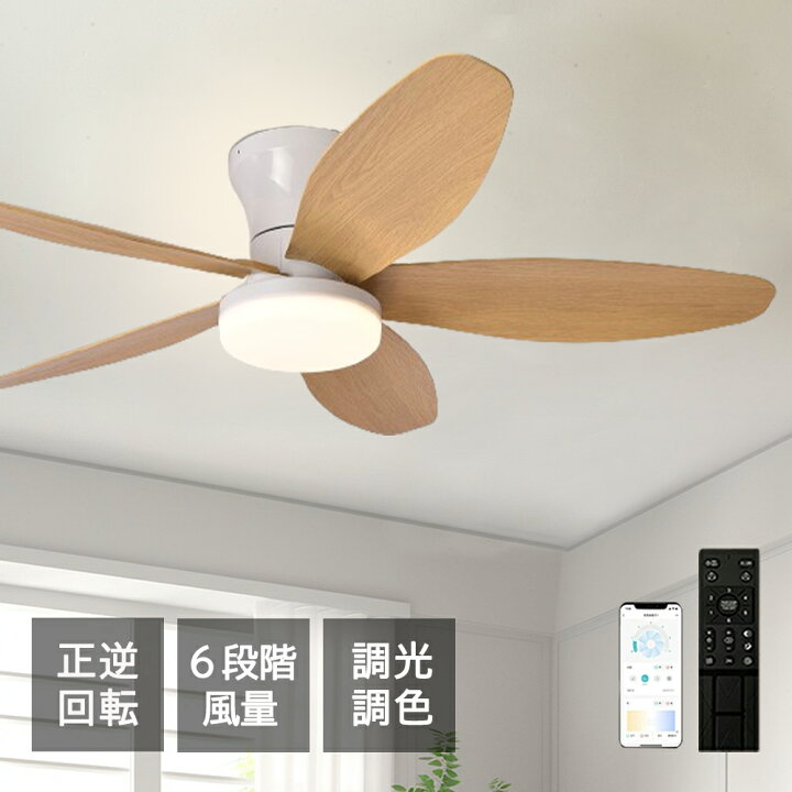 楽天市場】【5年保証】シーリングファン LED 首振り シーリングファン 