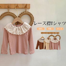 【送料無料】トップス キッズ 子供服 こども服 女の子 カットソー リブ ニット レース襟 長袖 柔らかい 着心地良い 伸縮性 カジュアル おしゃれ 着やすい レイヤード インナー ロングシーズン 通園 通学 90 100 110 120 130 140 ピンク ベージュ ブラウン