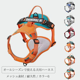 【送料無料】犬用 ハーネス 中型犬 大型犬 犬具 胴輪 リードセット セット メッシュ素材 小型 大型 中型 胴輪 首輪 装着簡単 ベルト調節可 通気性 抜けにくい 脱げない 耐久性 散歩 お出かけ カラバリ豊富 オールシーズン