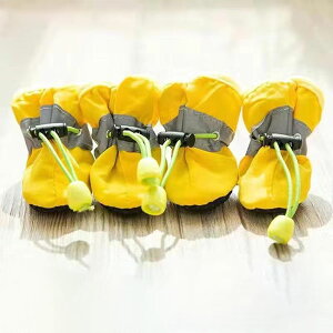 yžC pV[Y hbOV[Y یV[Y ybgpC Up ₷ H~ h ʋC ~ tH  EȂ ی ^ ^ 4Zbg h