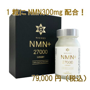 NICHIEI NMN+27000