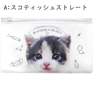 styI|Cg10{z AeB d؂t pX|[gP[X@gx@@R }XNP[X pfbN L  d؂ A  Aj} [ P[X 