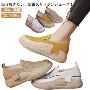 Xb| fB[X  Xb| Ƃ bV Xj[J[ T_ ʋC T}[ JWA  킢 T_  ][g RtH[gV[Y  