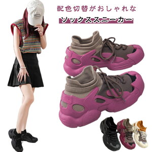 fB[X ^ [Jbg ɂȂ EH[LOV[Y C jbgXj[J[ \bNXXj[J[ JWA 