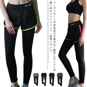  K MX X|[cEFA fB[X pc jOEFA g[jOEFA V[gpč^ MX 傫TCY ʋC z r Xgb`  Xp