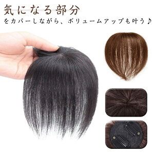 EBbO EBbO R  wAs[X gbvJo[ ё΍  j R V[g t  