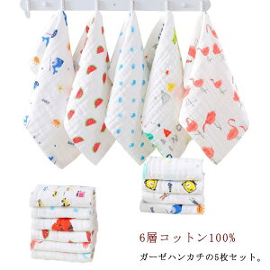K[[^I xr[ tFCX^I nh^I K[[nJ` 5Zbg  Ԃ ͂񂩂 6w  Rbg Zbg 30 × 30cm Rbg^I _炩 ʋC z v[g o
