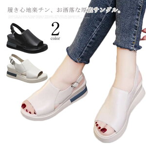 T_ fB[X T_ tbg\[ tbgT_  ₷  PUU[  ɂ ɂȂ y`  LC JWA r V[Y C ĕ t