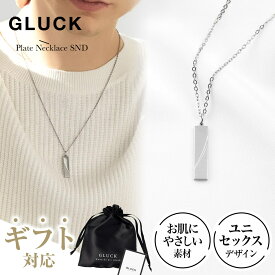 【期間限定｜W特典★2点以上5%OFF＆P5倍】ネックレス プレート アクセサリー 金属アレルギー 錆び つけっぱなし メンズ レディース プレゼント ギフト シルバー シンプル 記念日 誕生日 チェーン45cm GLUCK