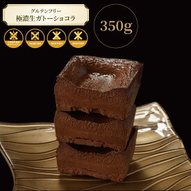 【 グルテンフリー ガトーショコラ 】極濃生ガトーショコラ FUKUGASHI Gluf-rich グルフリッチ 350g 送料無料 / グルテンフリー スイーツ ケーキ お菓子 ギフト チョコレート 白砂糖不使用 小麦粉不使用 手作り お取り寄せ 誕生日 プレゼント 御祝