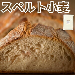 r[N[|100~v[g! ƒp Y  Xyg 2.5kg R kCY pp َqp ͕ ͕ Xyg ؂ d  Hp P[L NbL[ z[