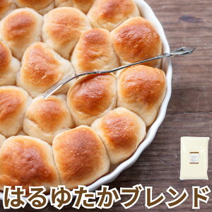 ƒp Y  ͂䂽uh 2.5kg ]ʐ kCY pp ͕ ͂䂽 n^J tL uh d Hp z[x[J[