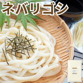 家庭用 国産 小麦粉 ネバリゴシ 5kg 東日本産業 岩手県産 めん用 中力粉 ねばりごし 中間質小麦 麺 うどん 手作り