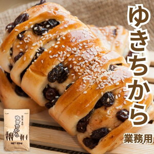 Ɩp Y  䂫 25kg {Y 茧Y pp ͕  L`J  d Hp